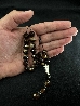 Worry Beads 56-0
