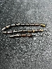 Worry Beads 261-1